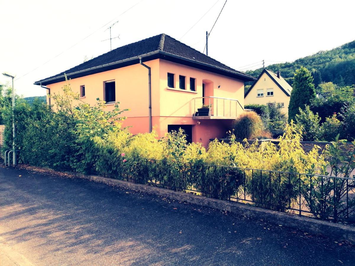 Le Ptit Lou Apartment Kaysersberg-Vignoble Exterior photo